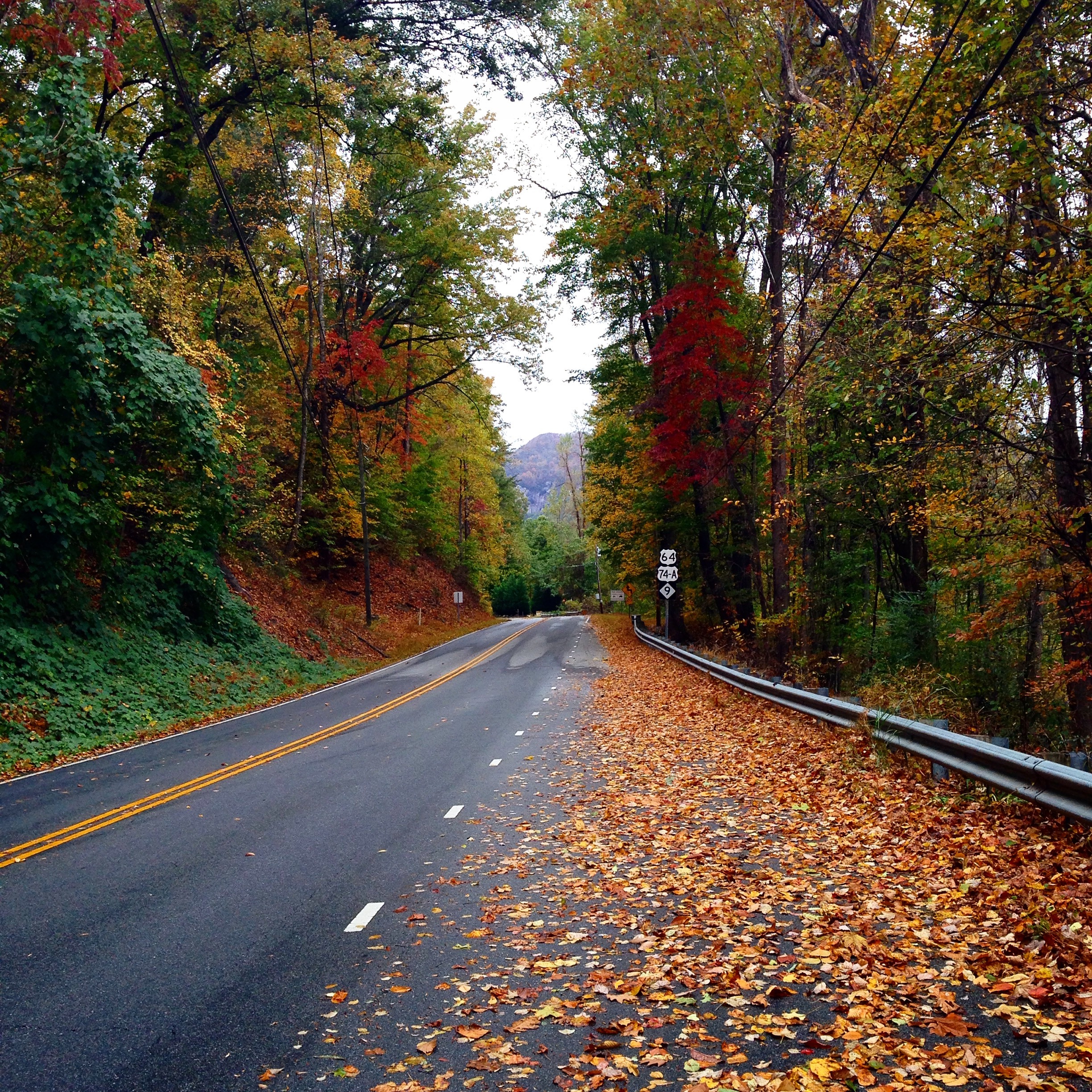 Scenic driving tour with fall color canopy