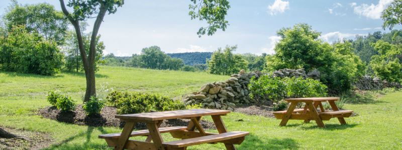 Winery Picnic