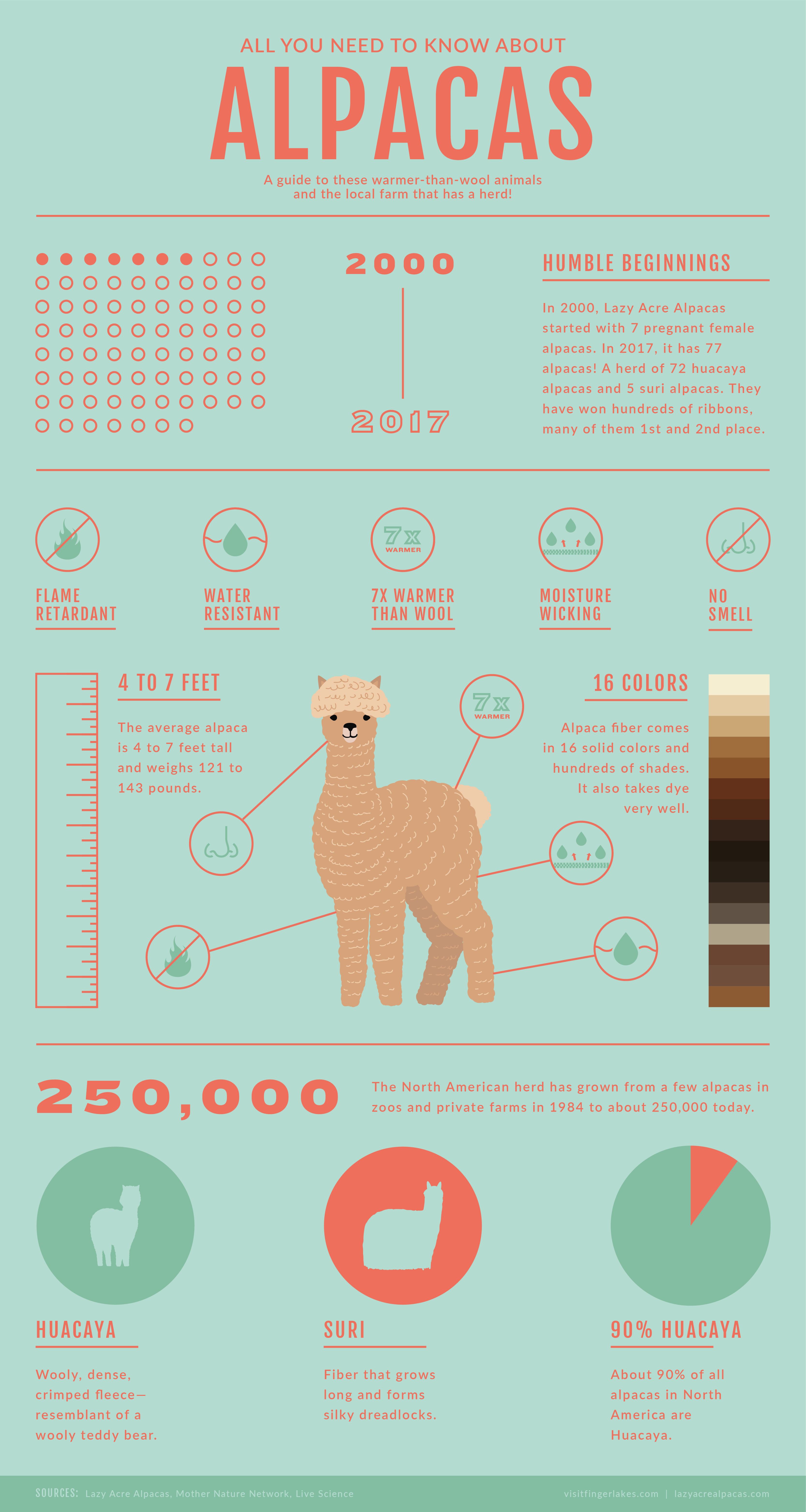 alpaca facts