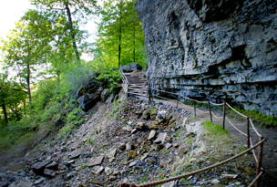 Walk in the Woods at Thacher Park - Image