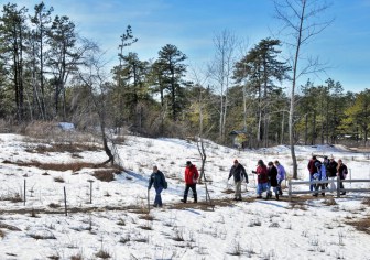 Winter time at the Albany Pine Bush