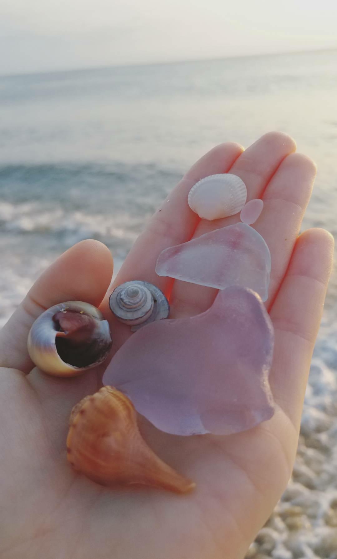 Seaglass and Seashells