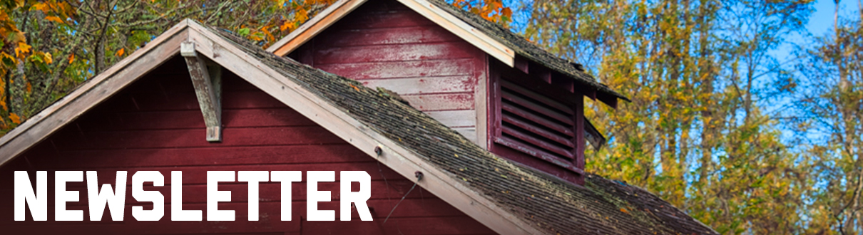 Newsletter header for fall campaign
