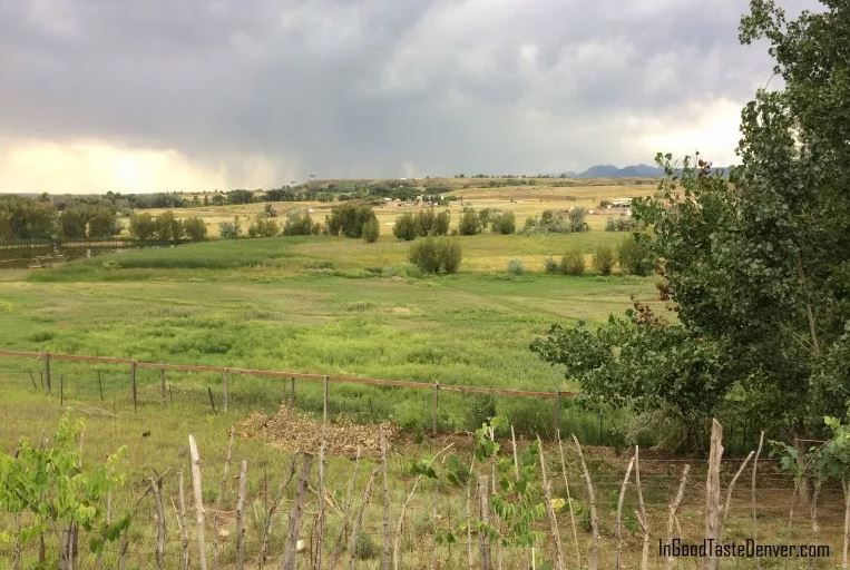 Farm trail In Good Taste