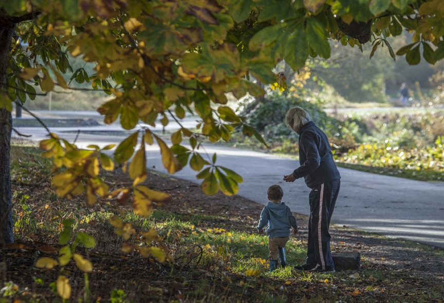 Fort Steilacoom Park in Lakewood