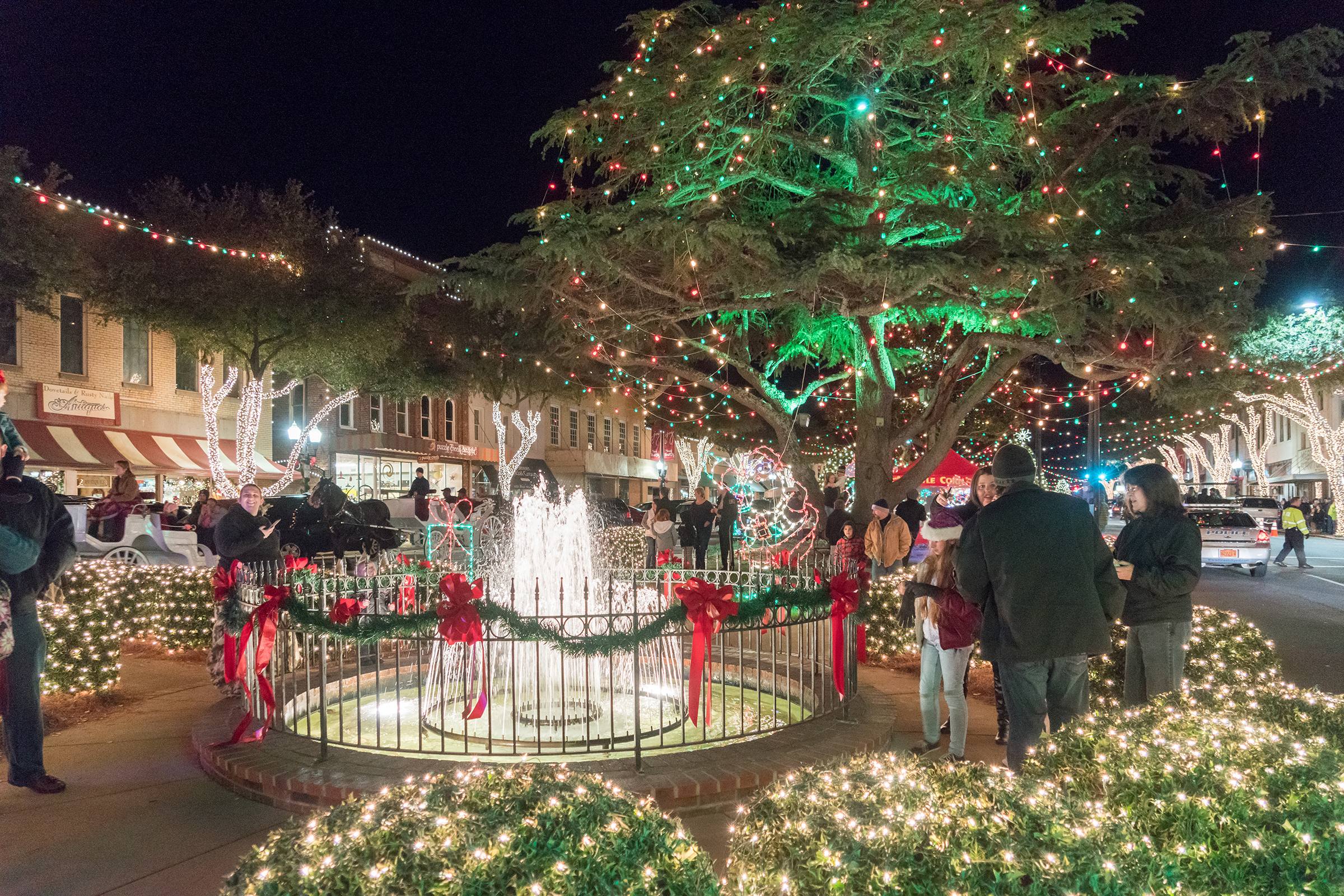 Downtown Forest City Christmas Lights