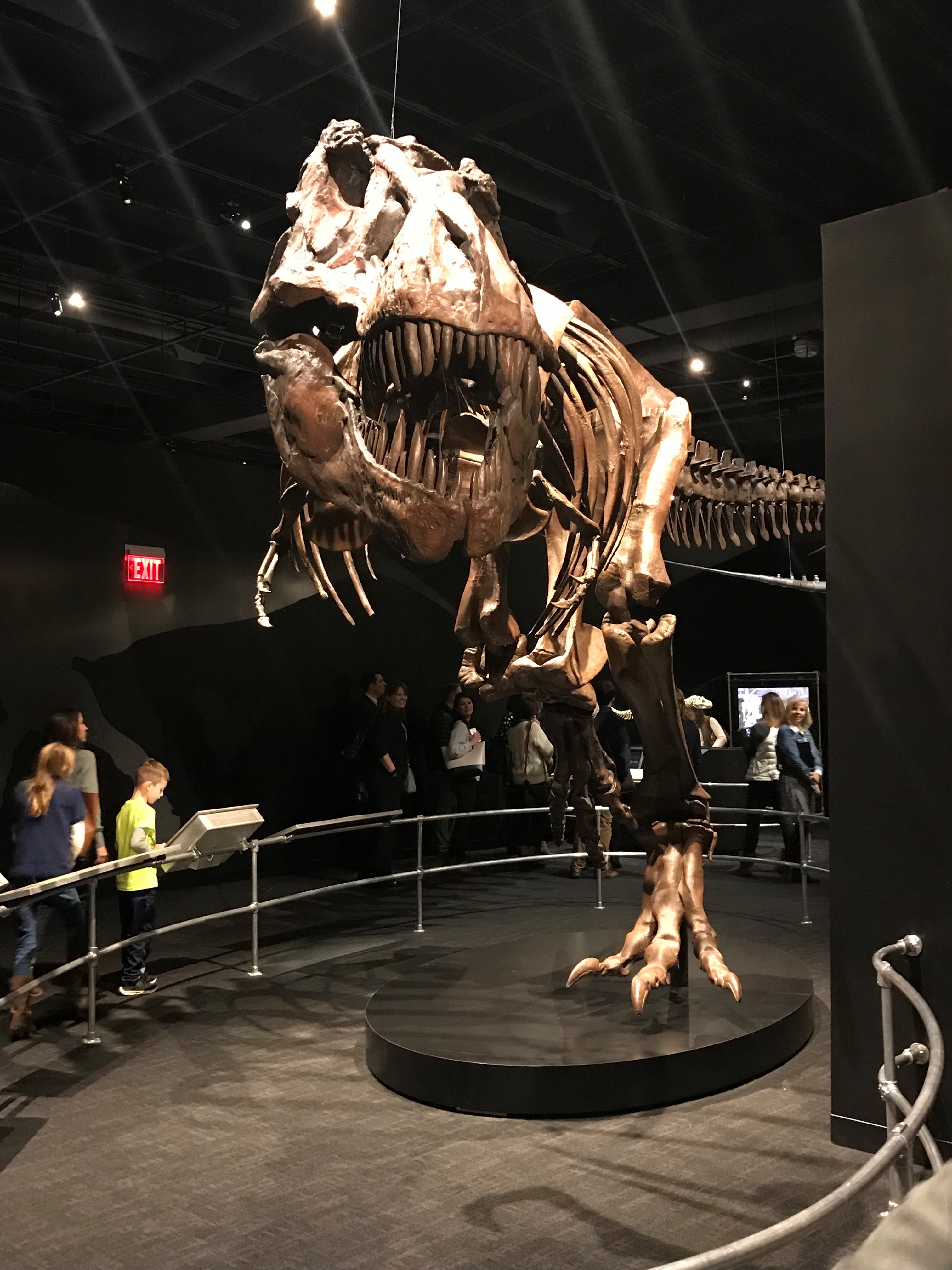 COSI T-Rex
