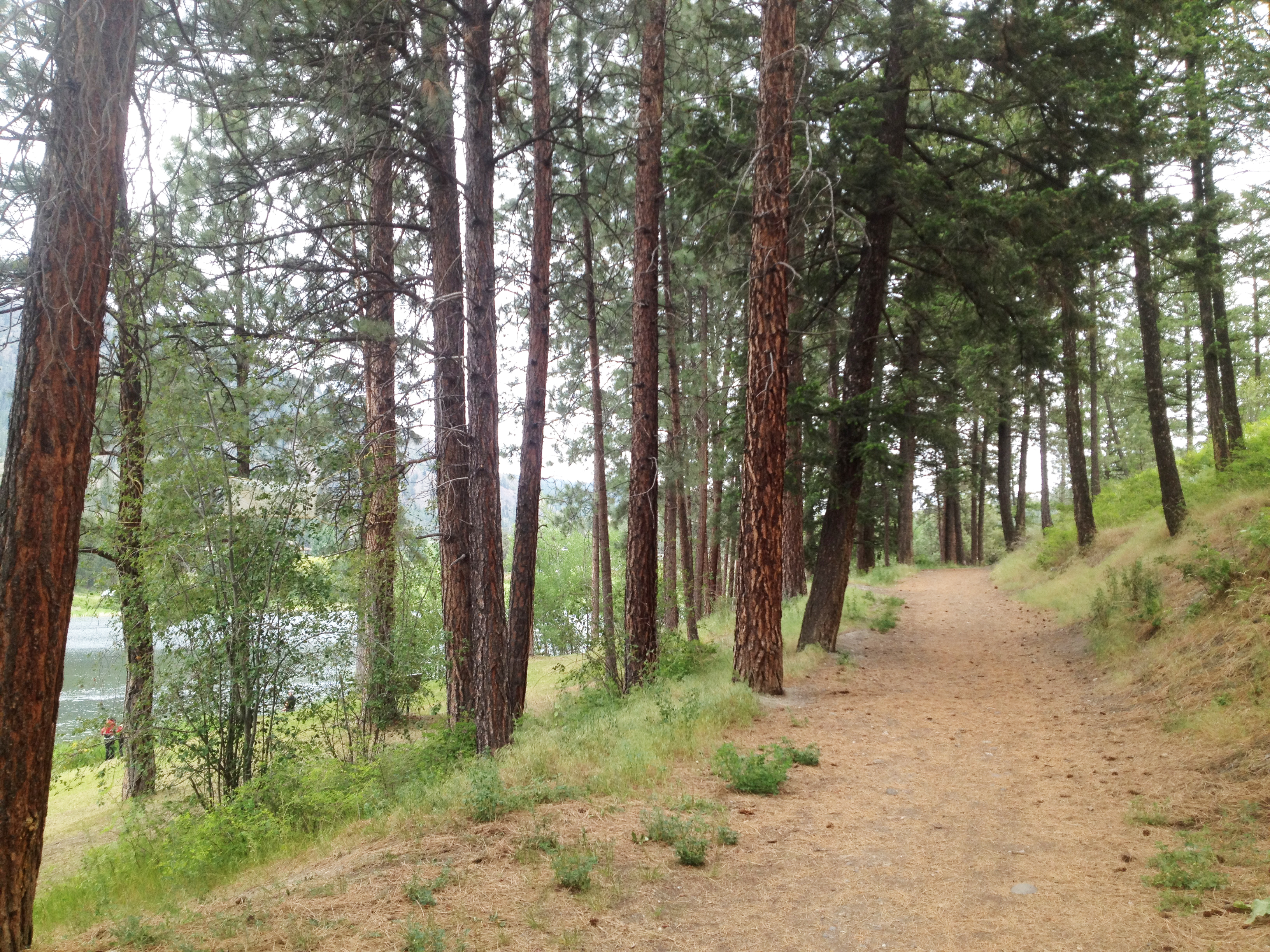 Shannon Lake Regional Park