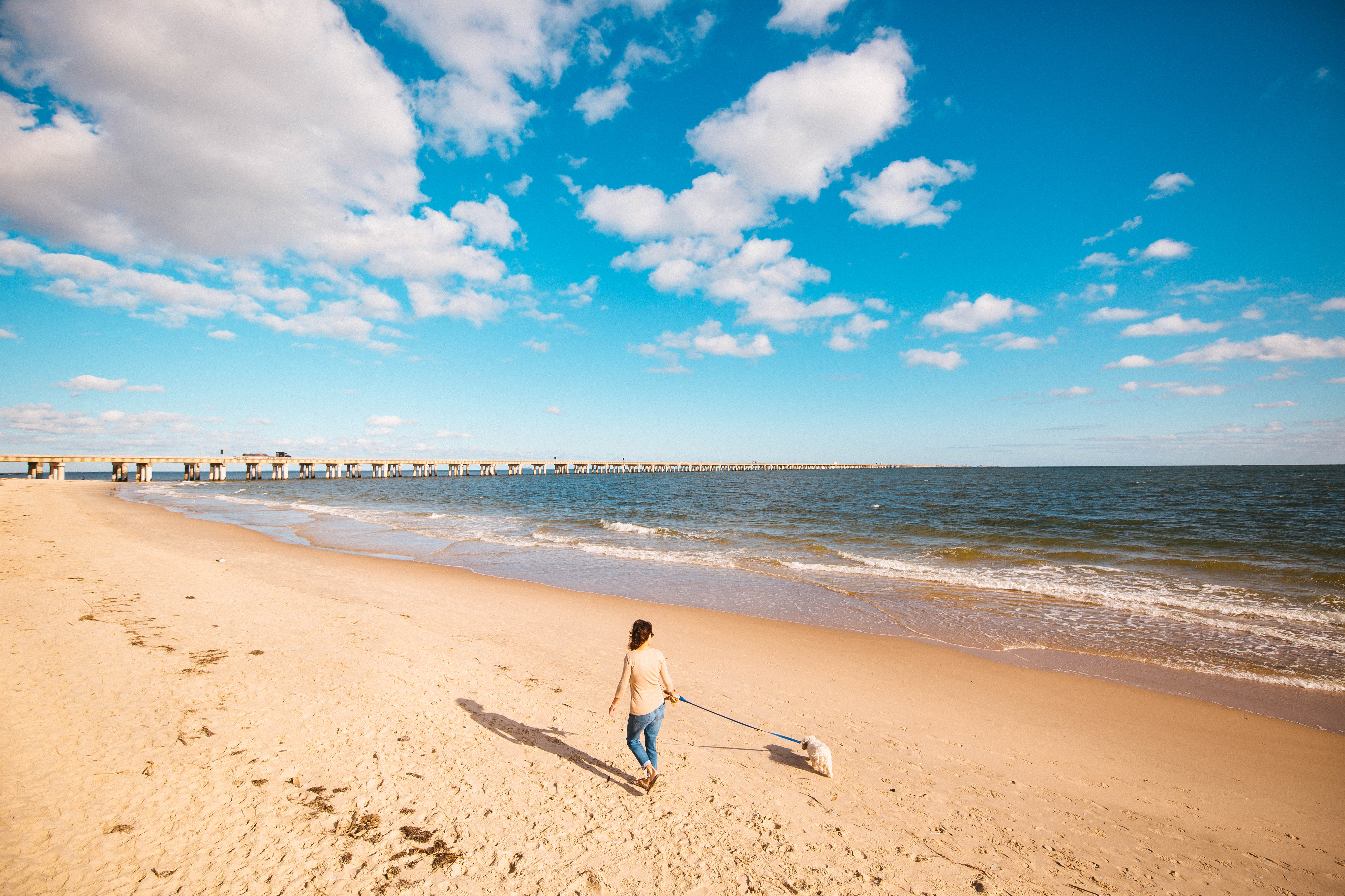 Chesapeake Bay/Chicks Beach