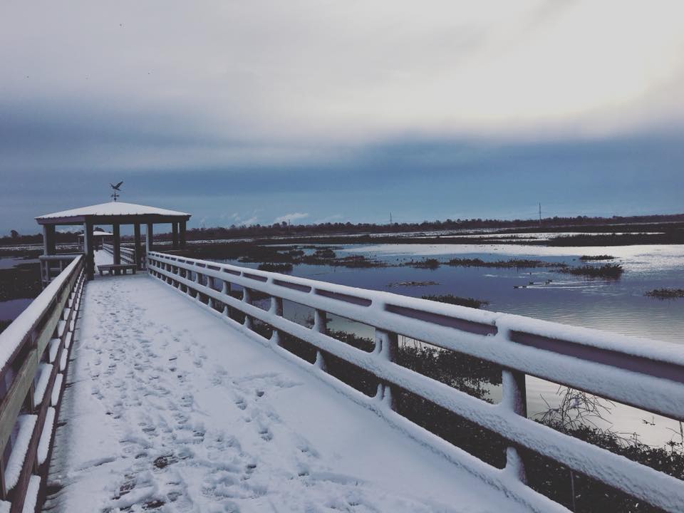 A Winter Wonderland in Beaumont