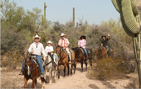 Horse ride