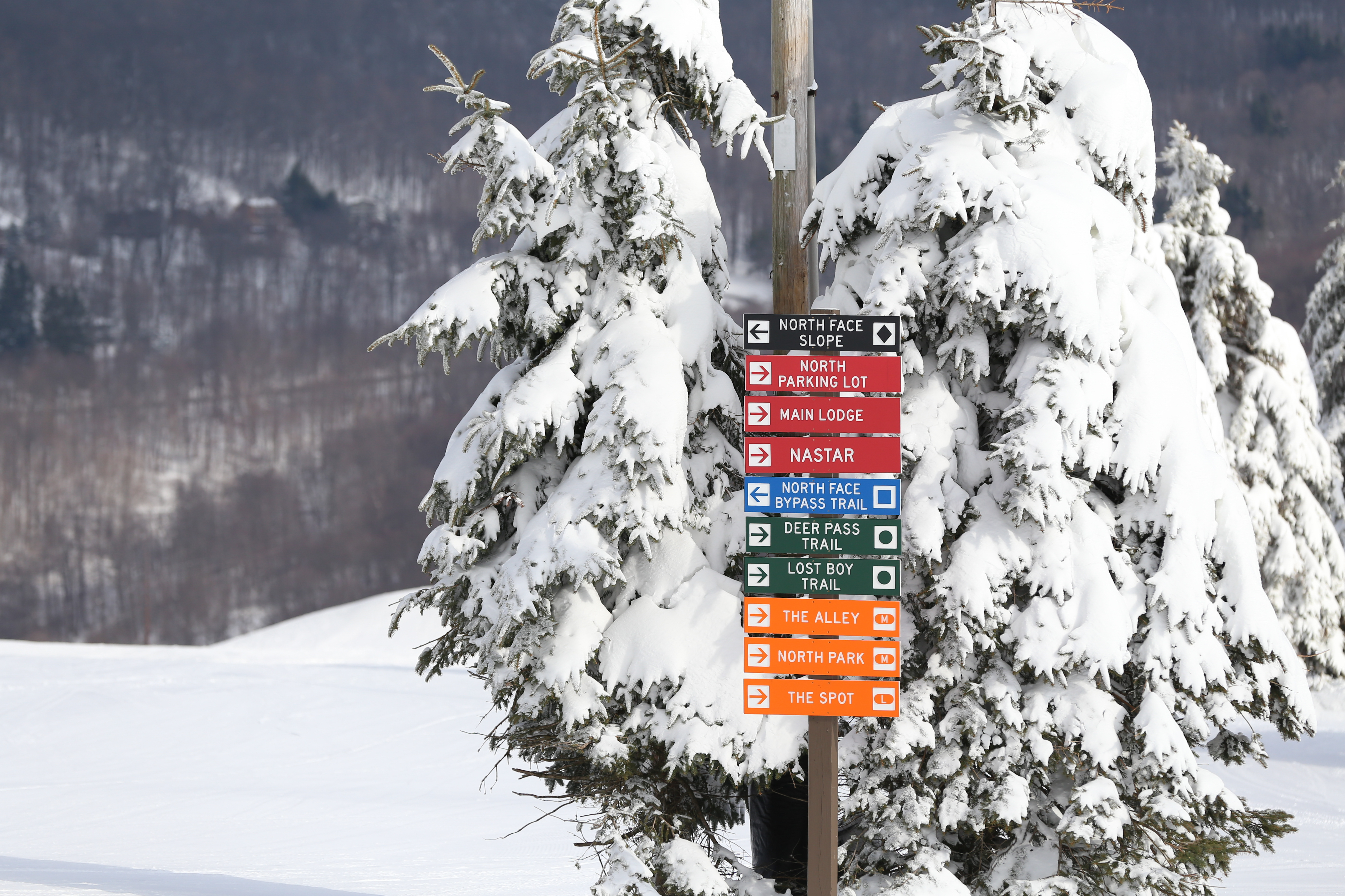 Seven Springs trail signs