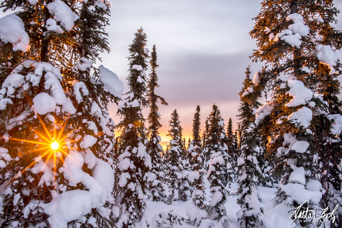 Sunrise during Winter Solstice - Nathan Belz Photography - Fairbanks Alaska