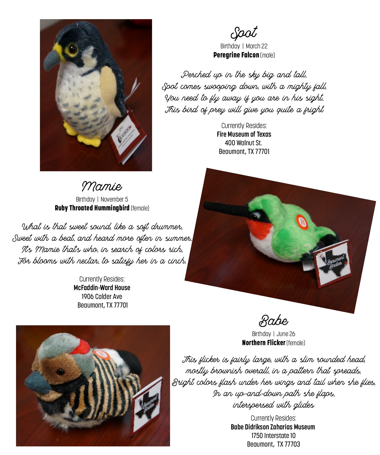 birdies2