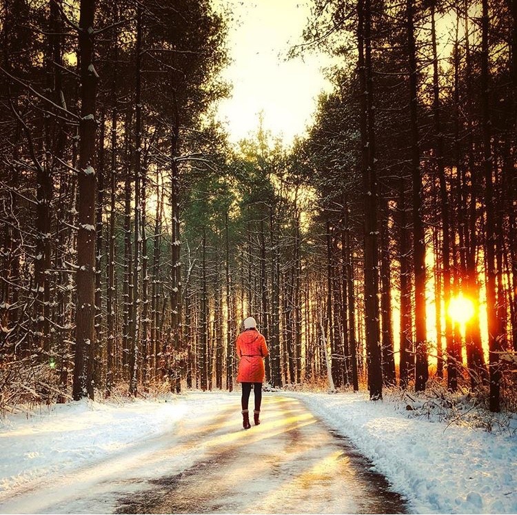 winter hike at Walnut Woods