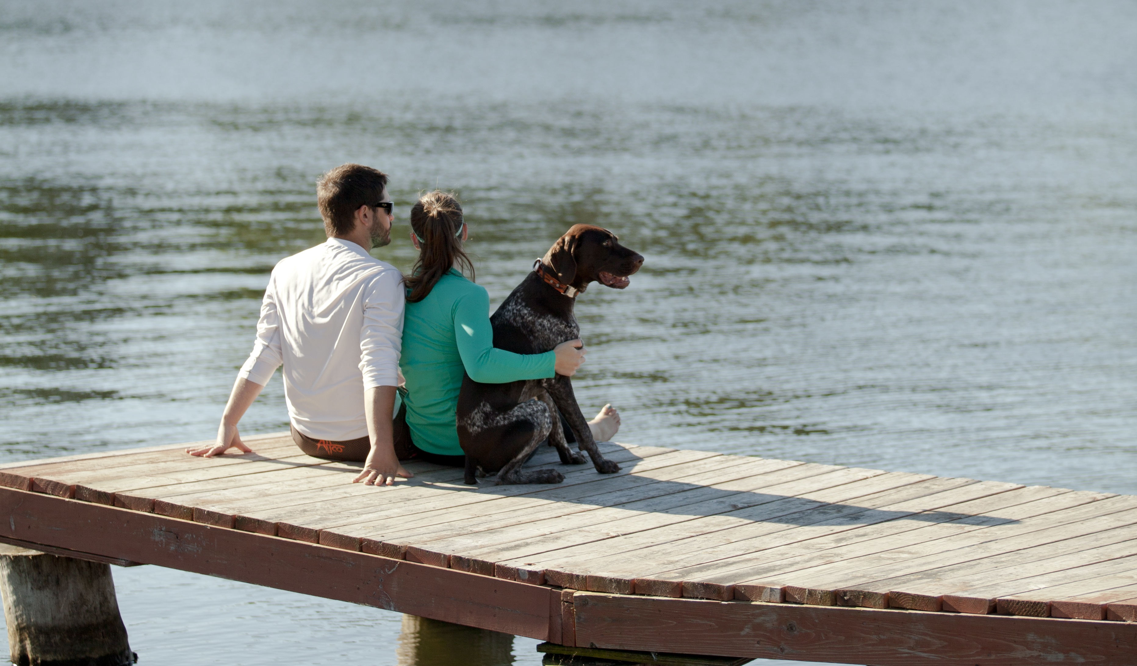 The amicable pet-friendly resort of Wisconsin