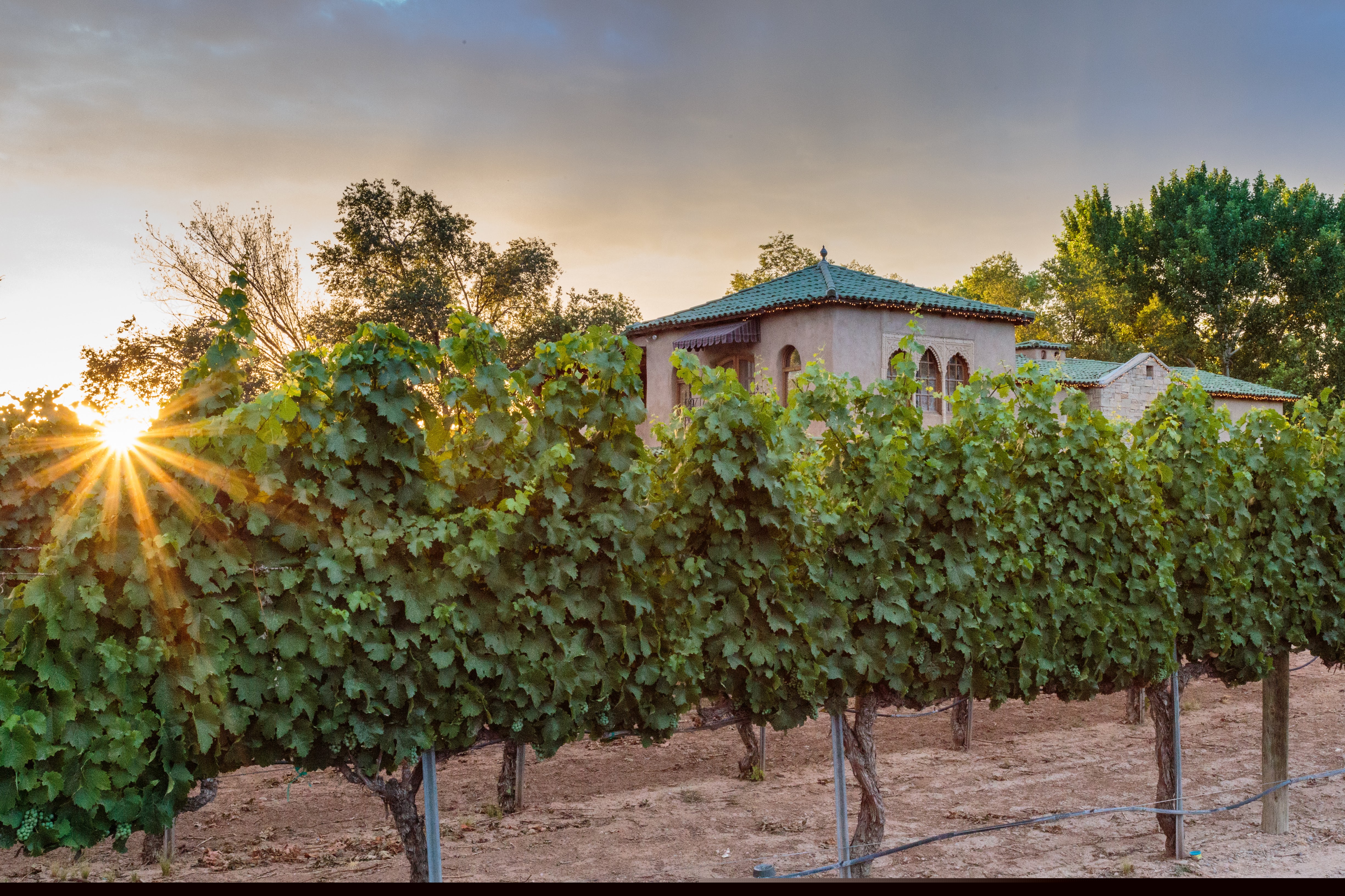 Casa Rondeña Winery
