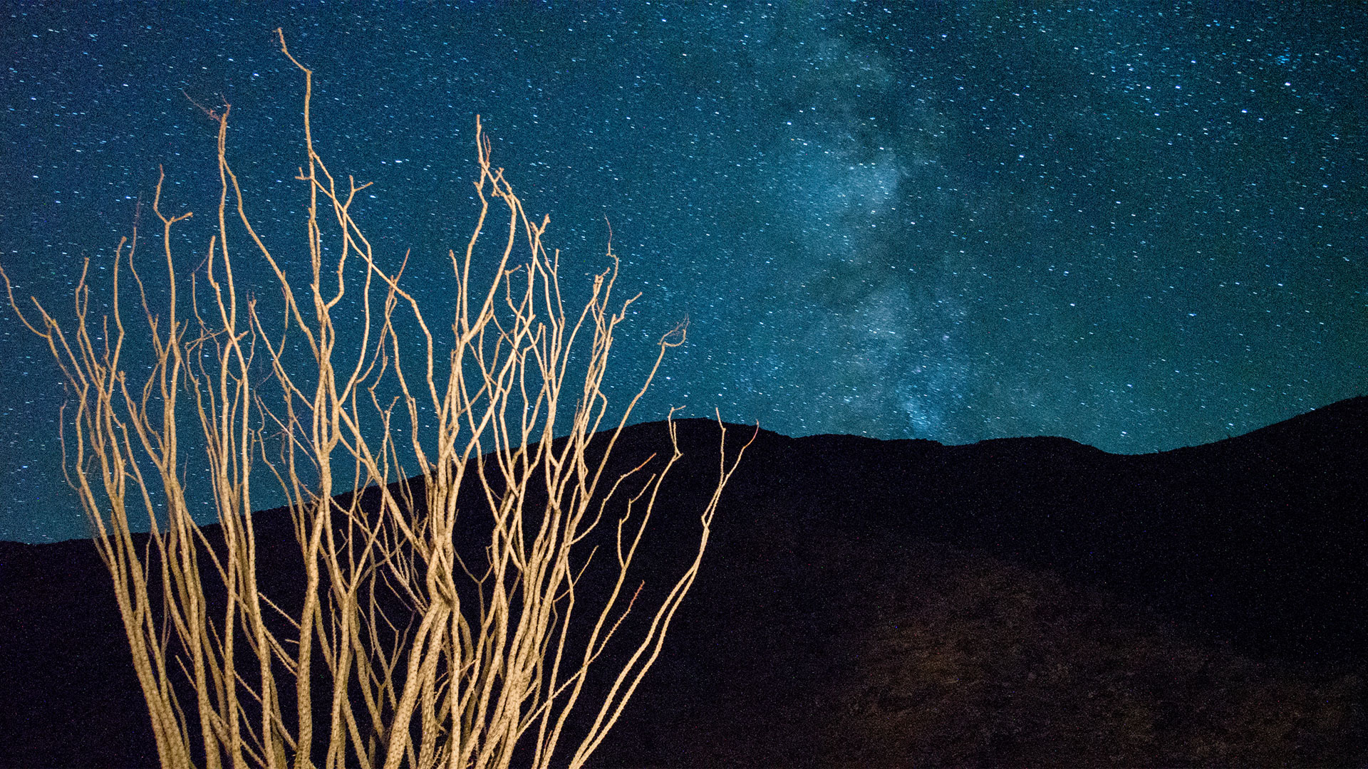 Anza Borrego at Night