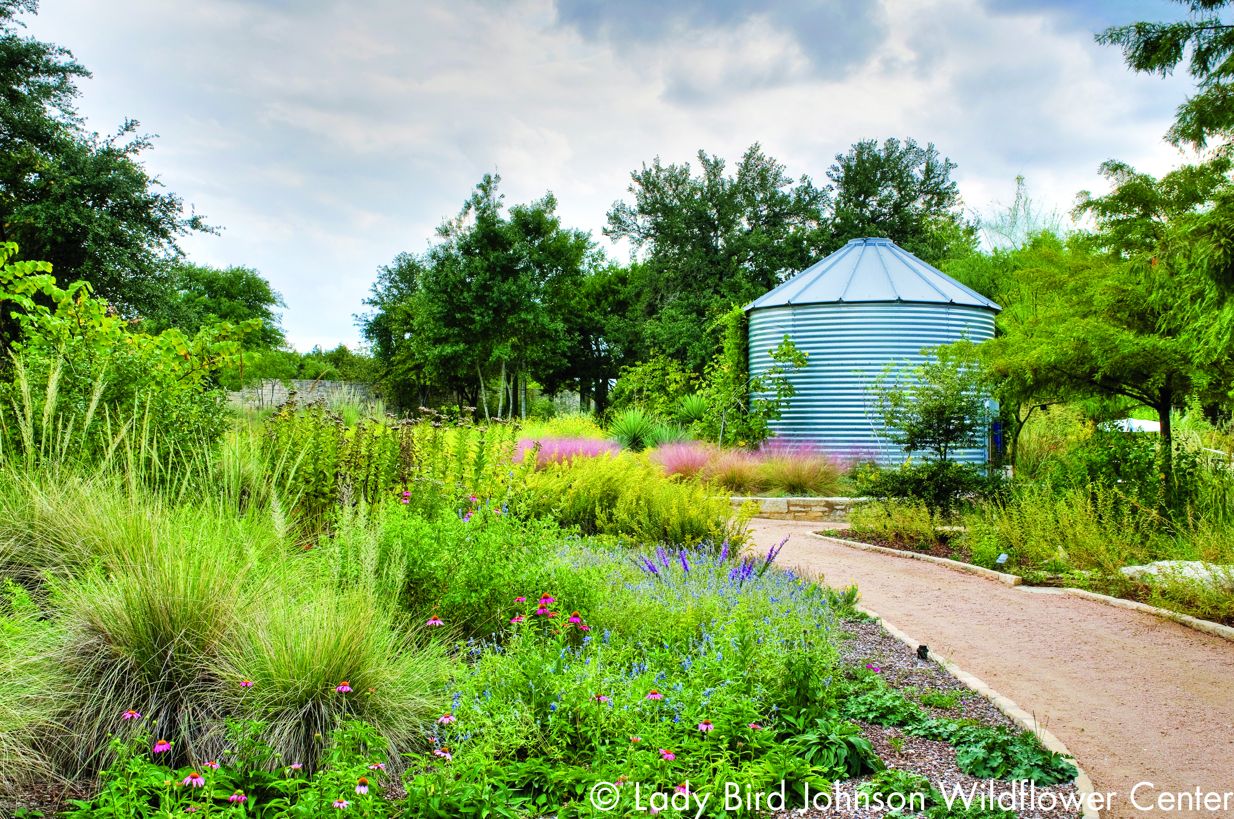 Visiting The Lady Bird Johnson Wildflower Center In Austin Tx Austin Insider Blog