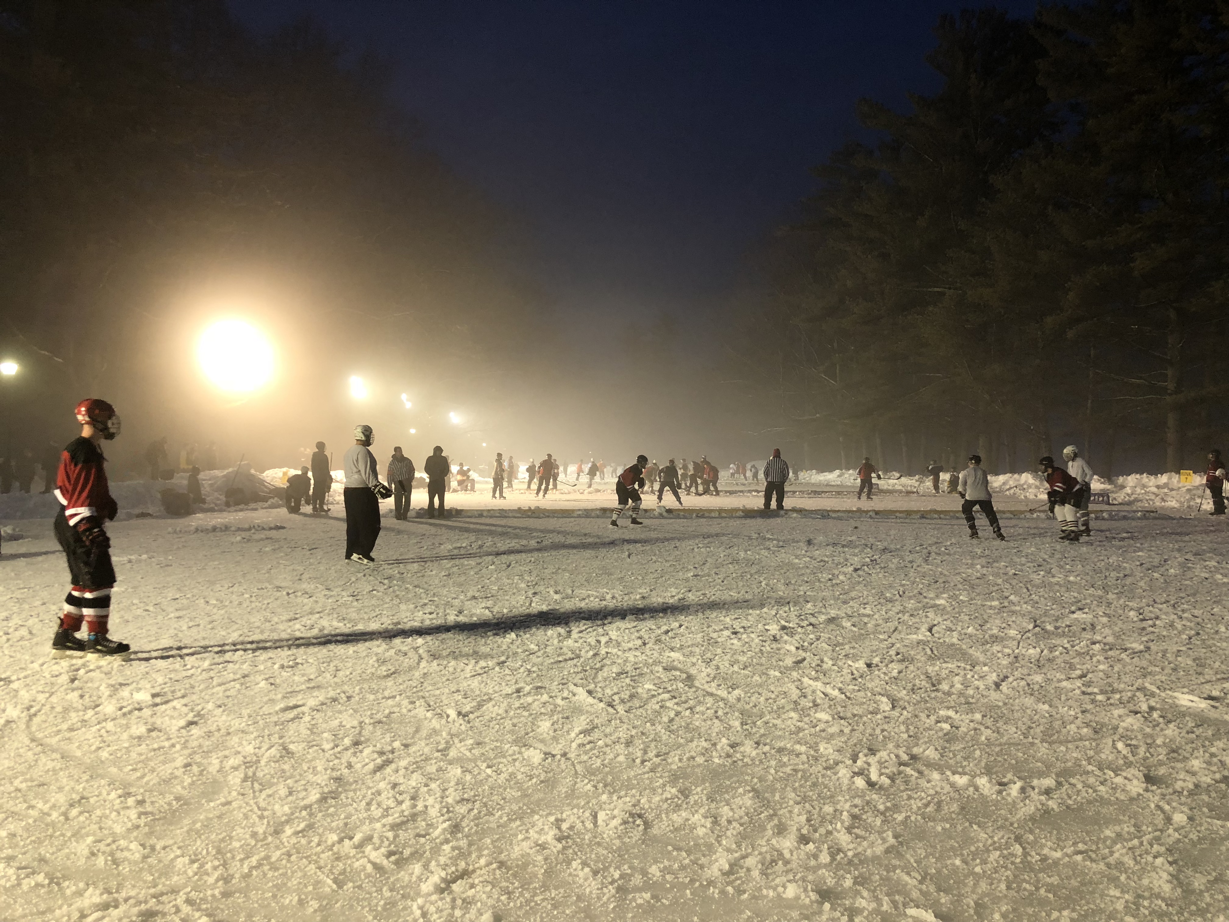 Pond Hockey 2018