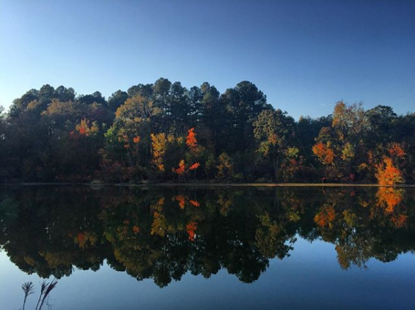 Bryceshows Bartram Forest