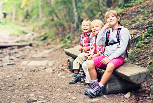 Forbes State Forest Hiking