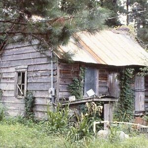 Keithfield Plantation