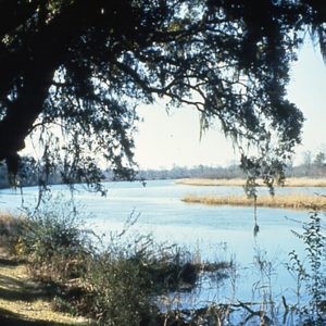 Pee Dee River Rice Planters Historic District