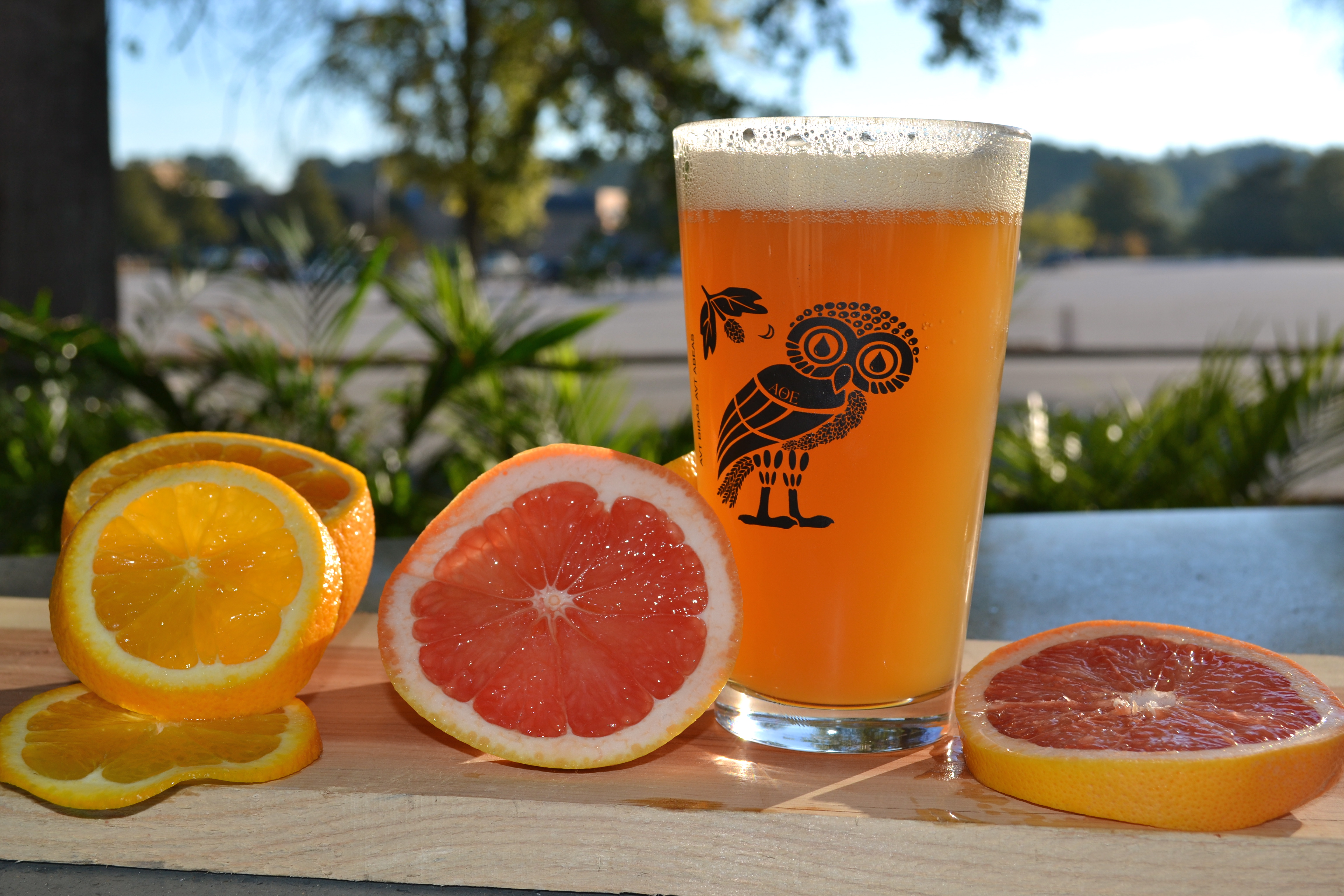 Akademia Beer 2