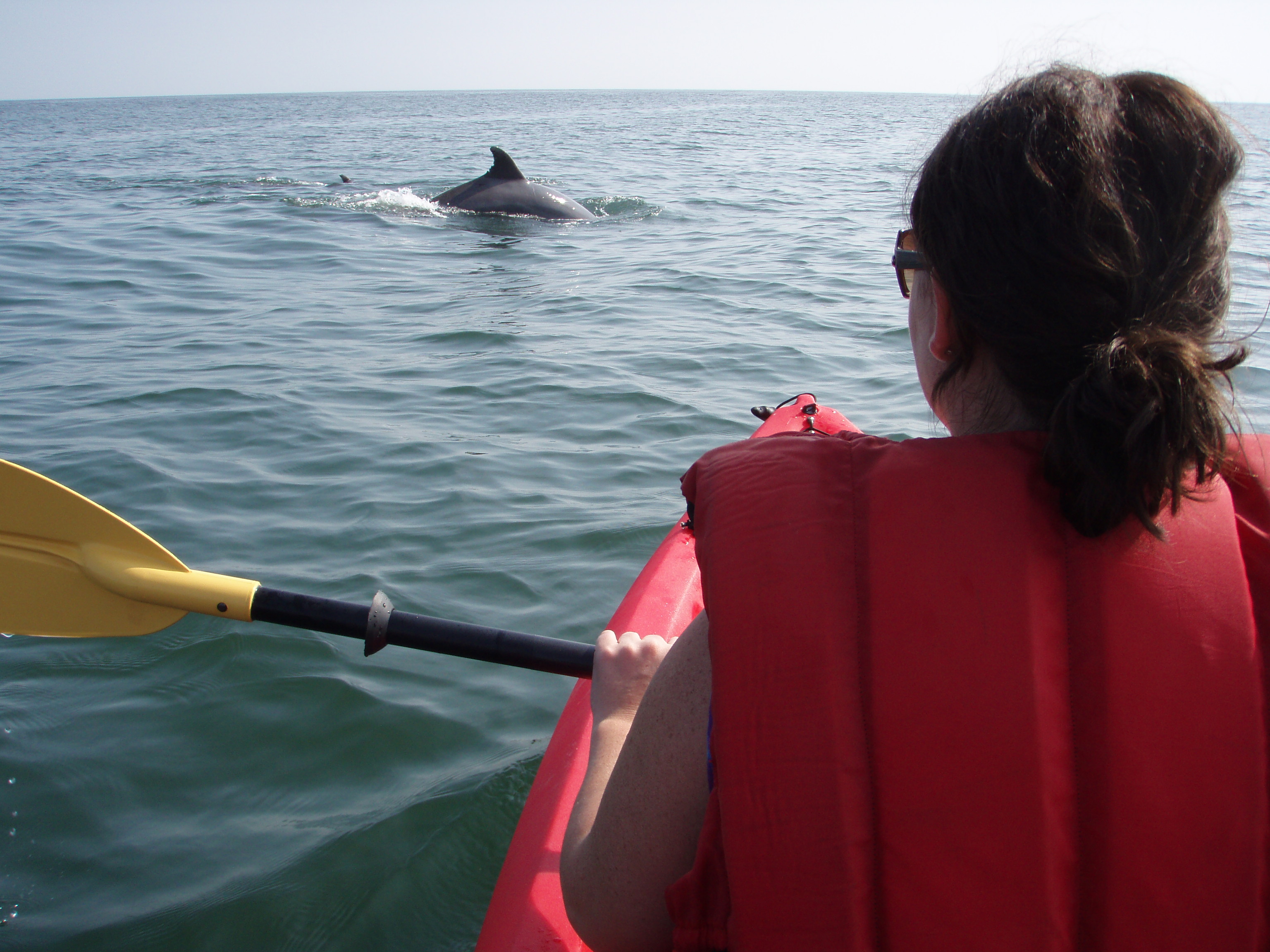2011_Kayaking_with_Dolphin_1.JPG
