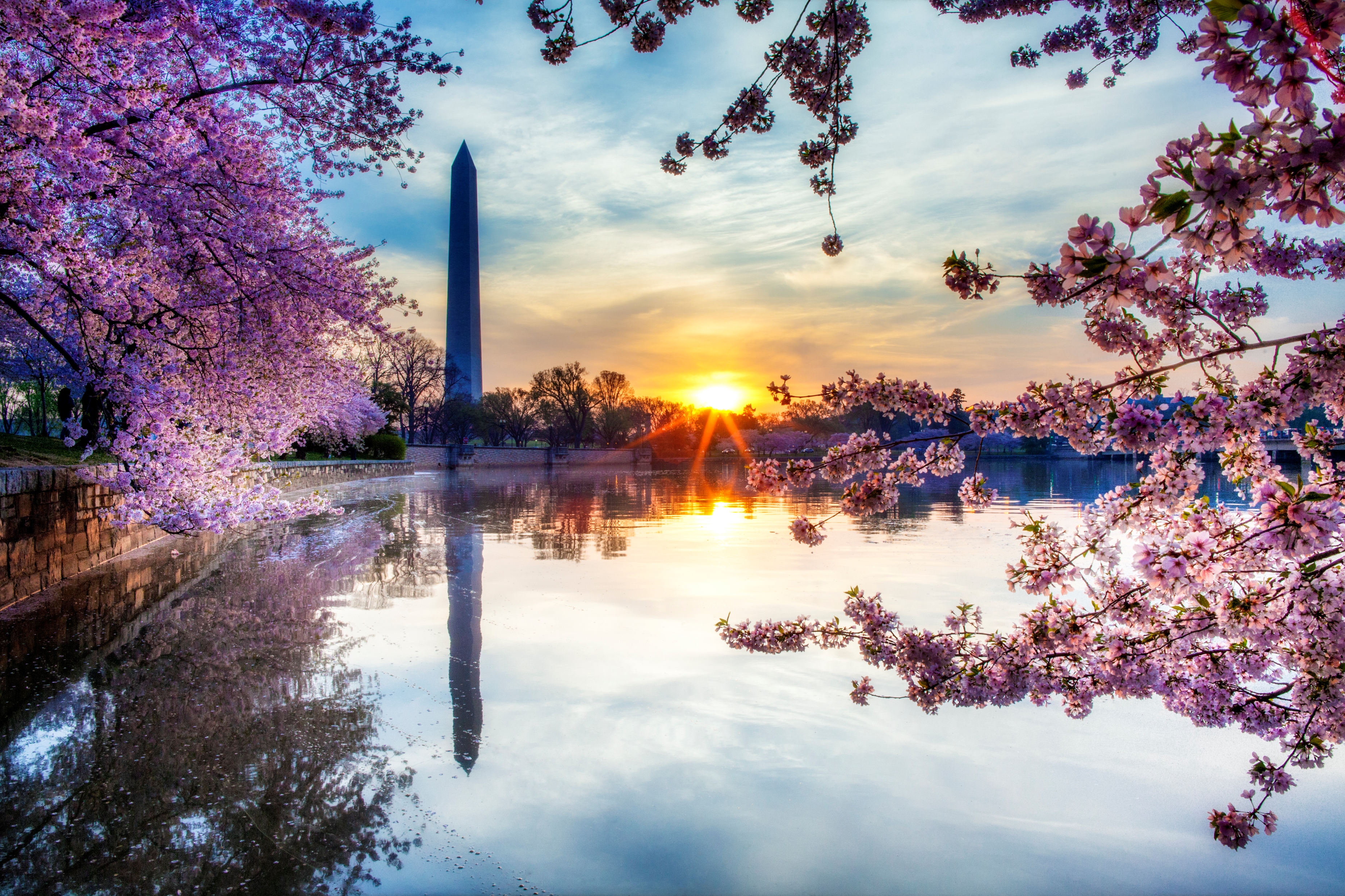 Blossoms and Baseball - National Cherry Blossom Festival