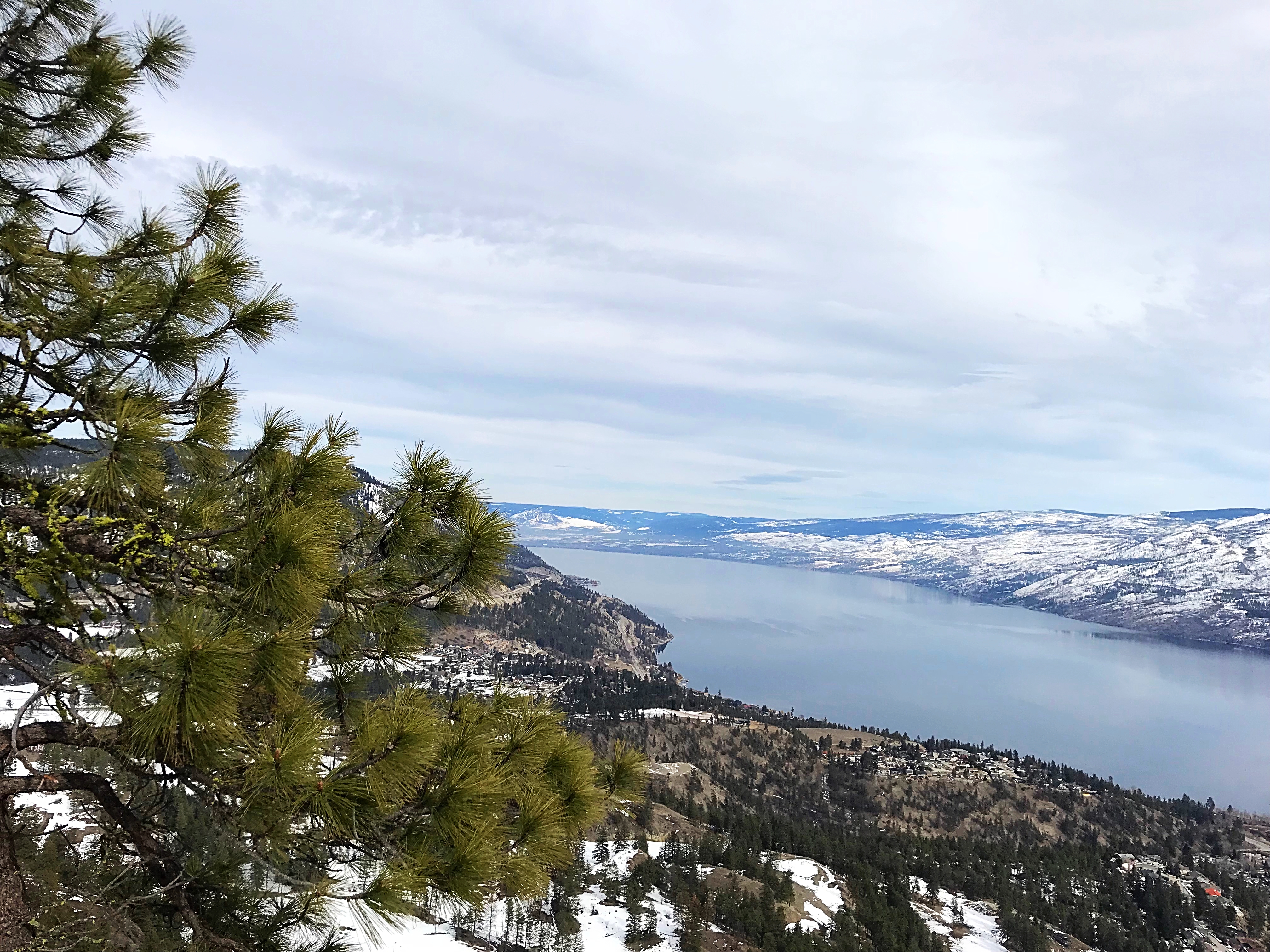 View from Pincushion Mountain