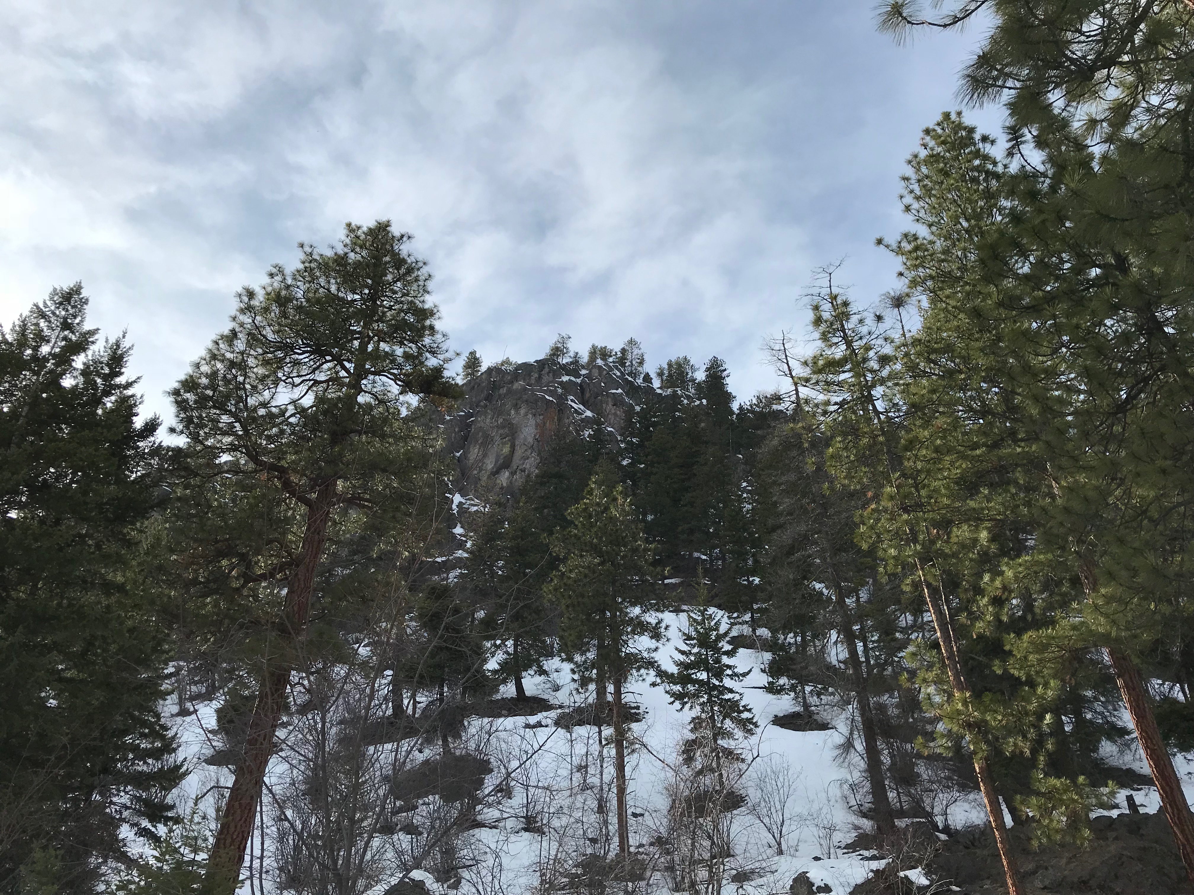 View of Pincushion Summit