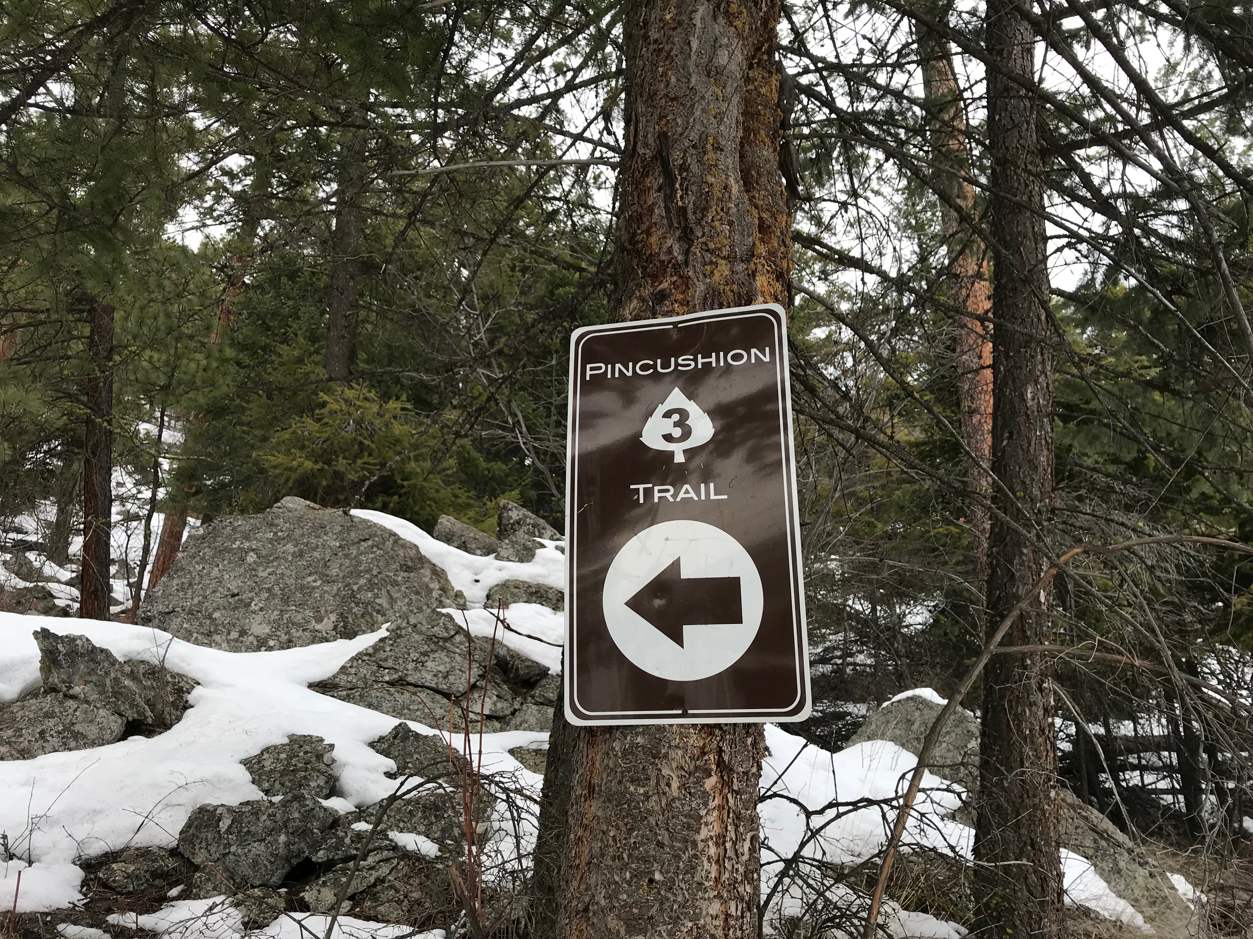 Pincushion Mountain Signs