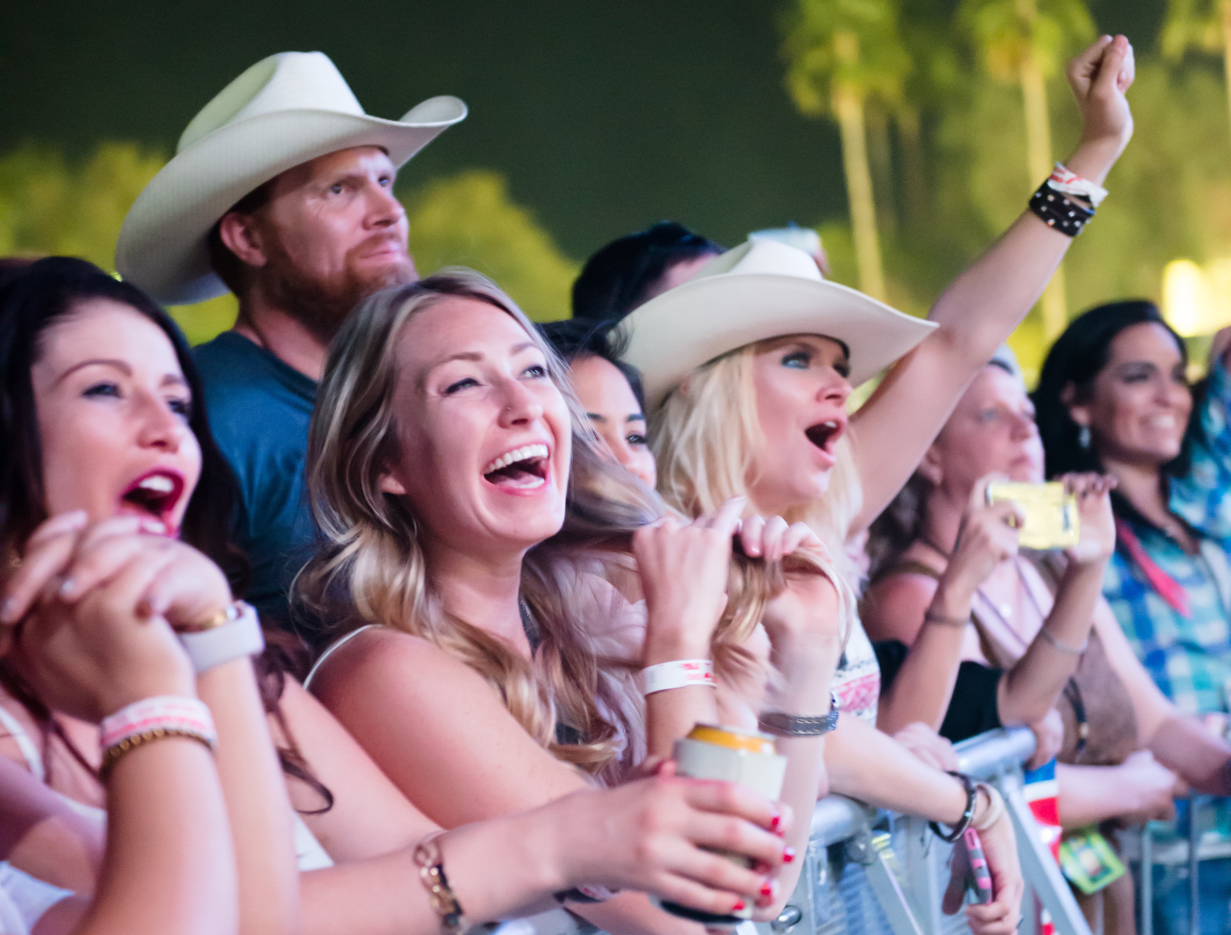 Great American BBQ & Beer Festival Chandler AZ Events