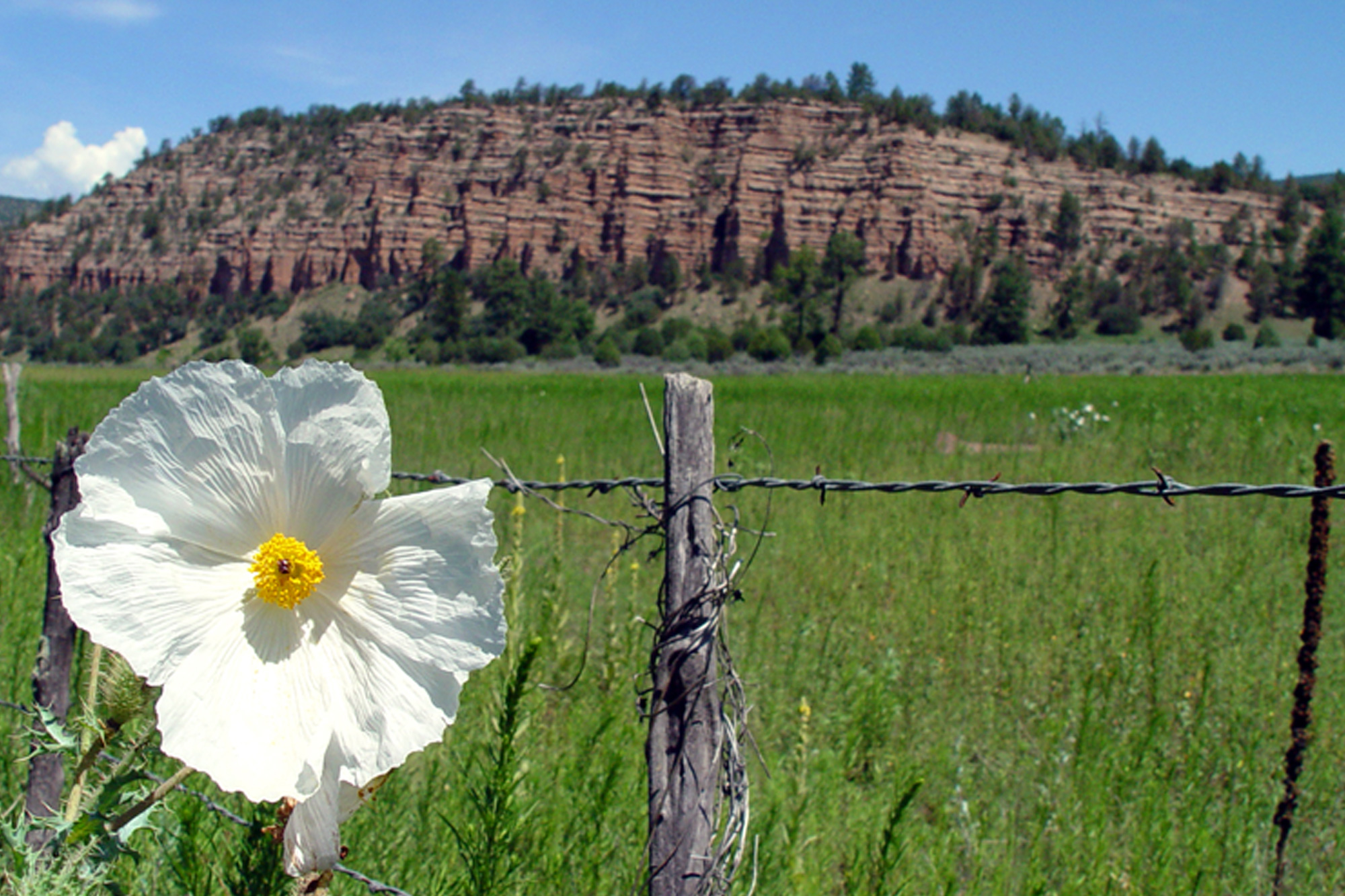 Scenic Byways