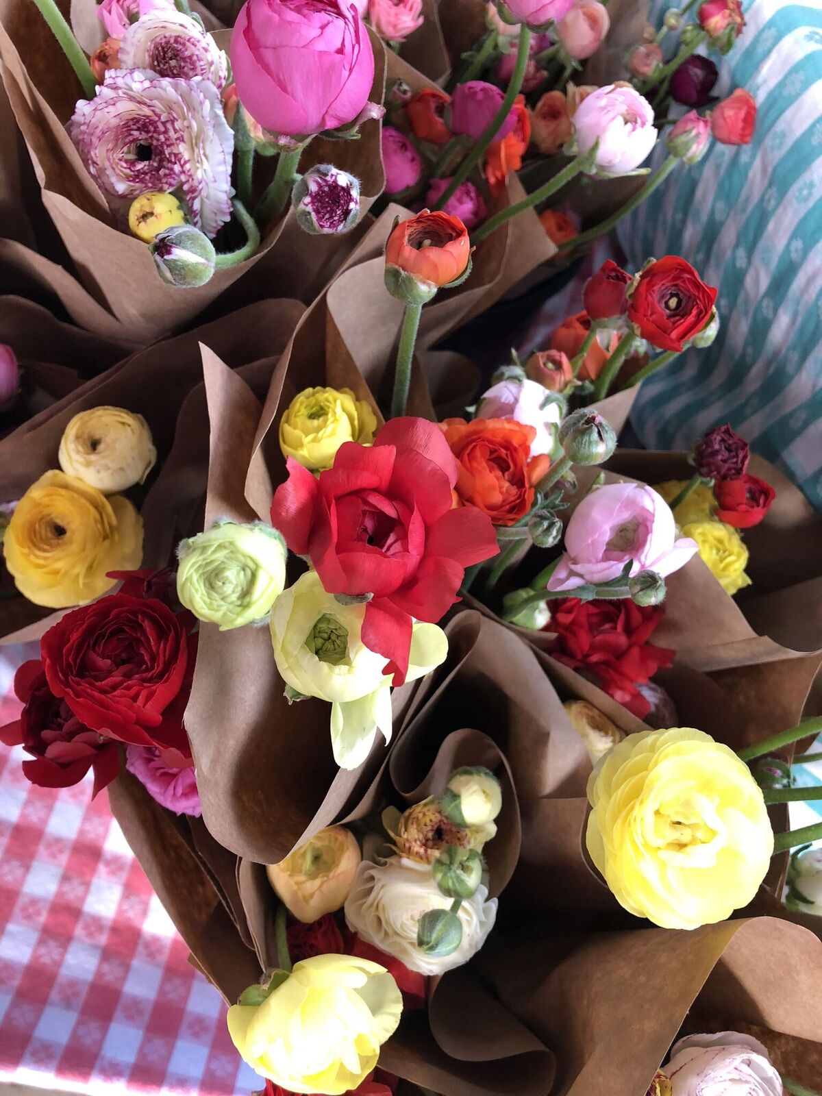 3 Porch Farm - Athens Farmers Market