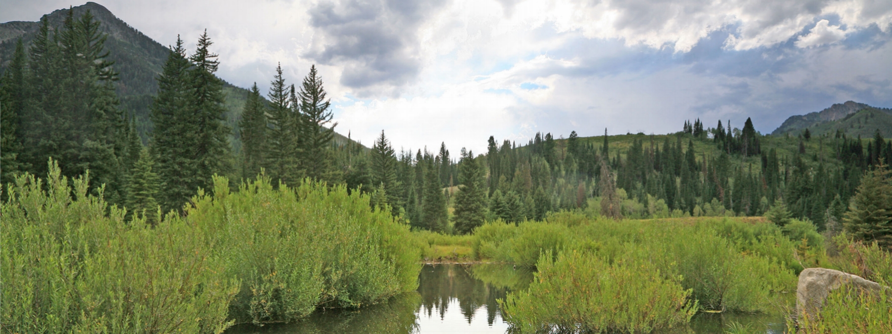 scenic cycle routes near me