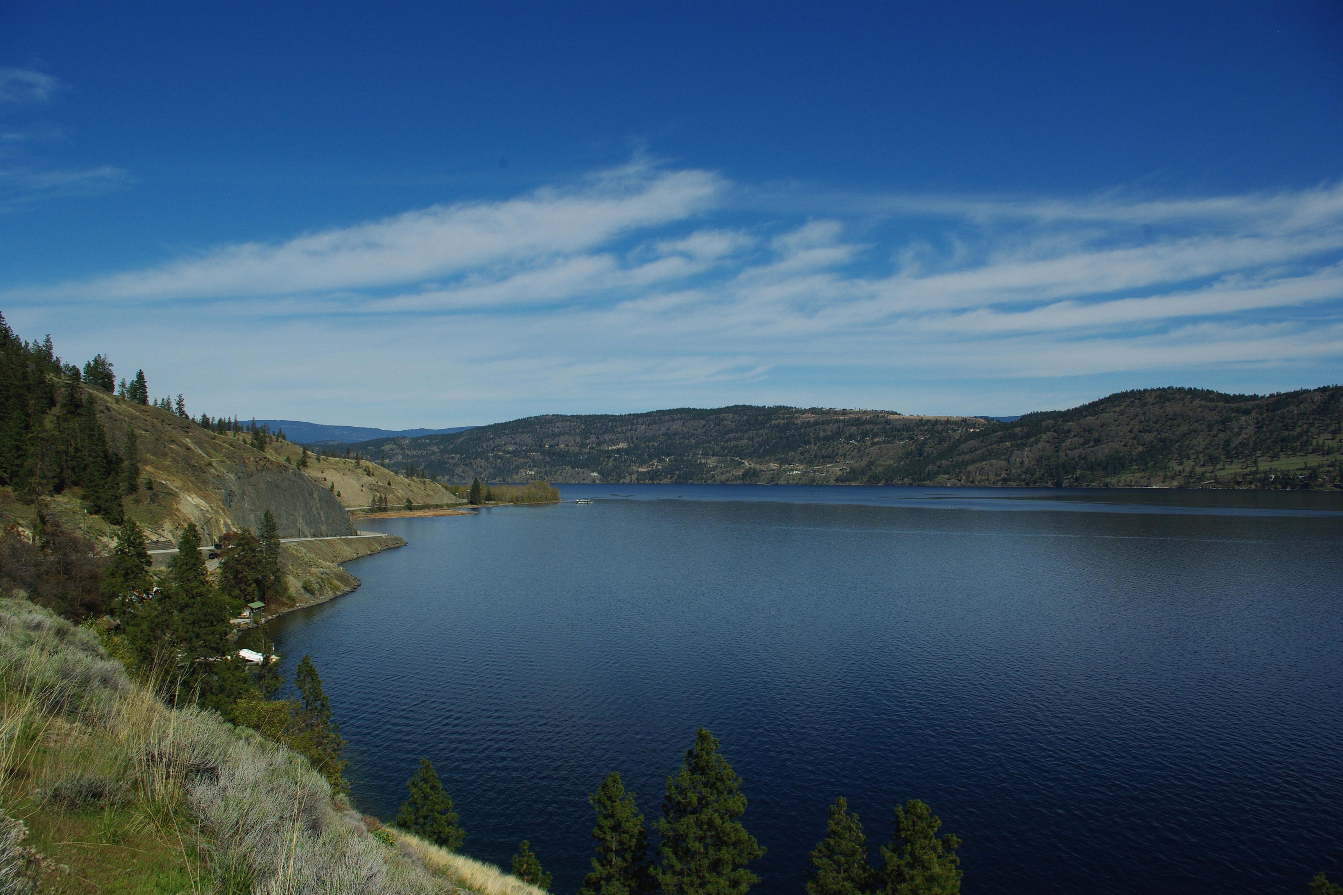 Tail of the Ogopogo