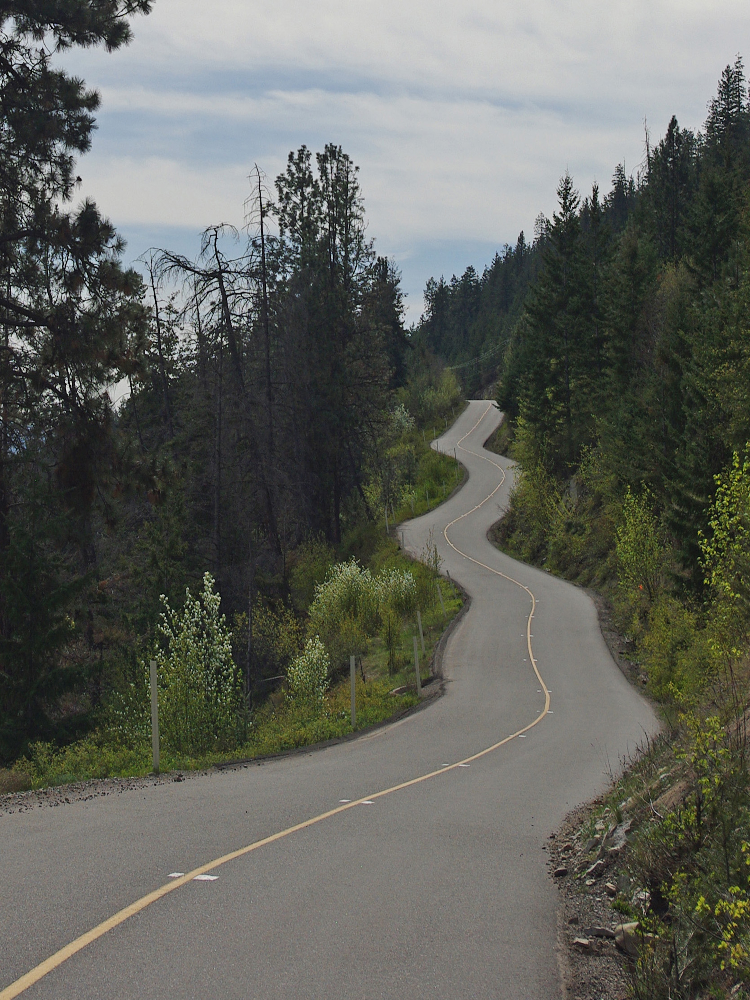 Tail of the Ogopogo