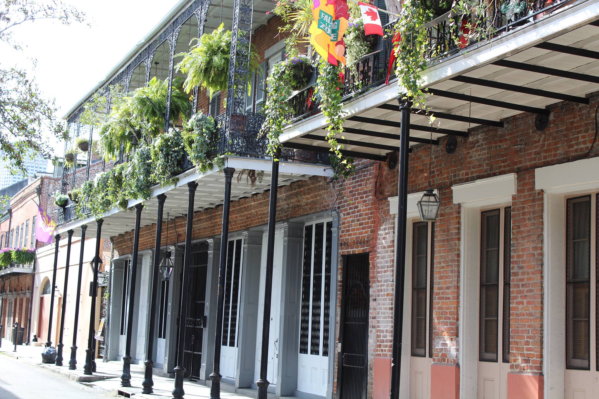 New Orleans Road