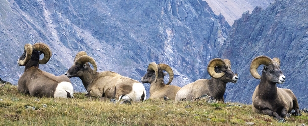 Rocky Mountain National Park near Boulder