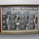 Valeo Chiropractic