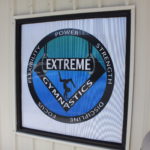 Extreme Martial Arts & Gymnastics