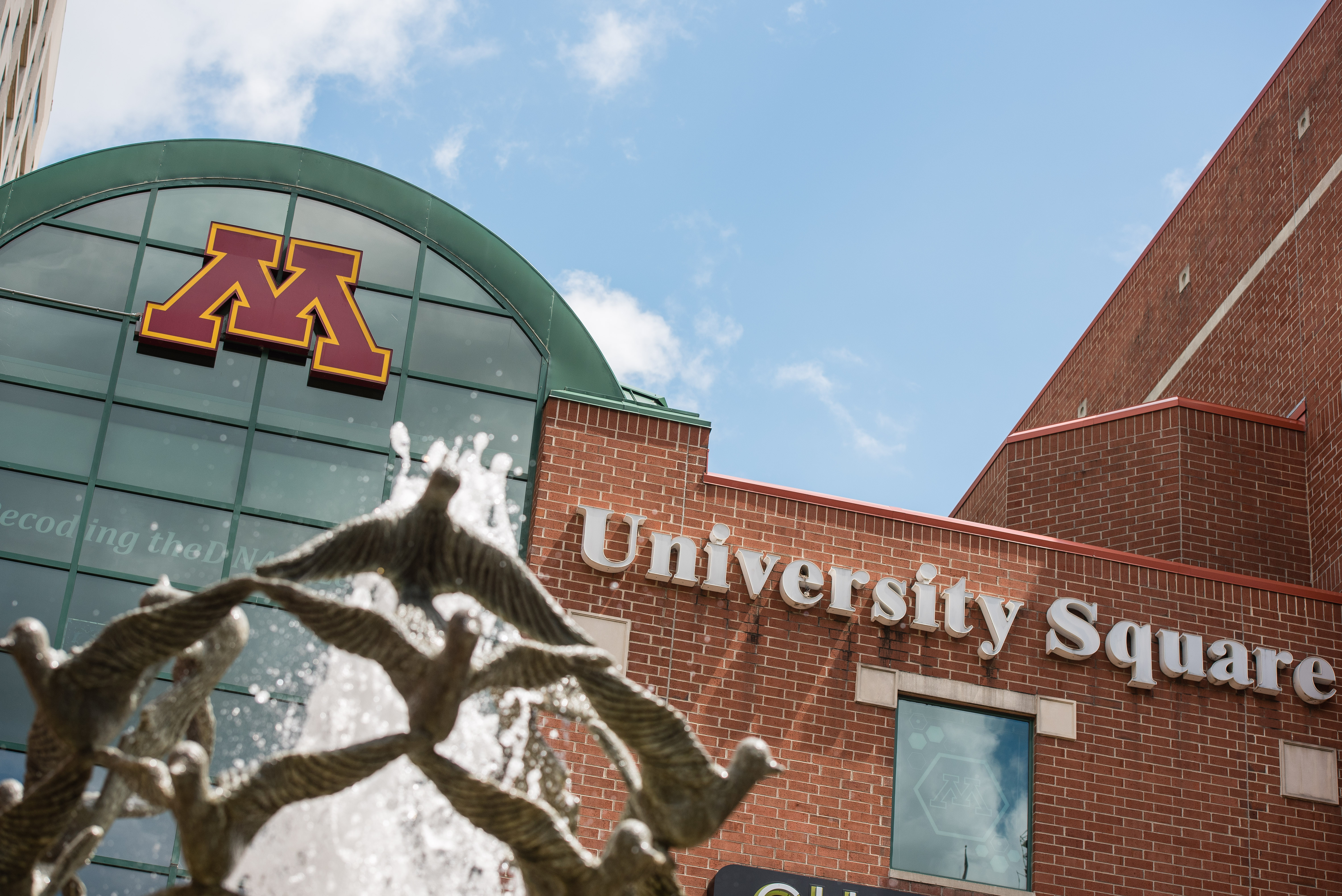 University of Minnesota Rochester
