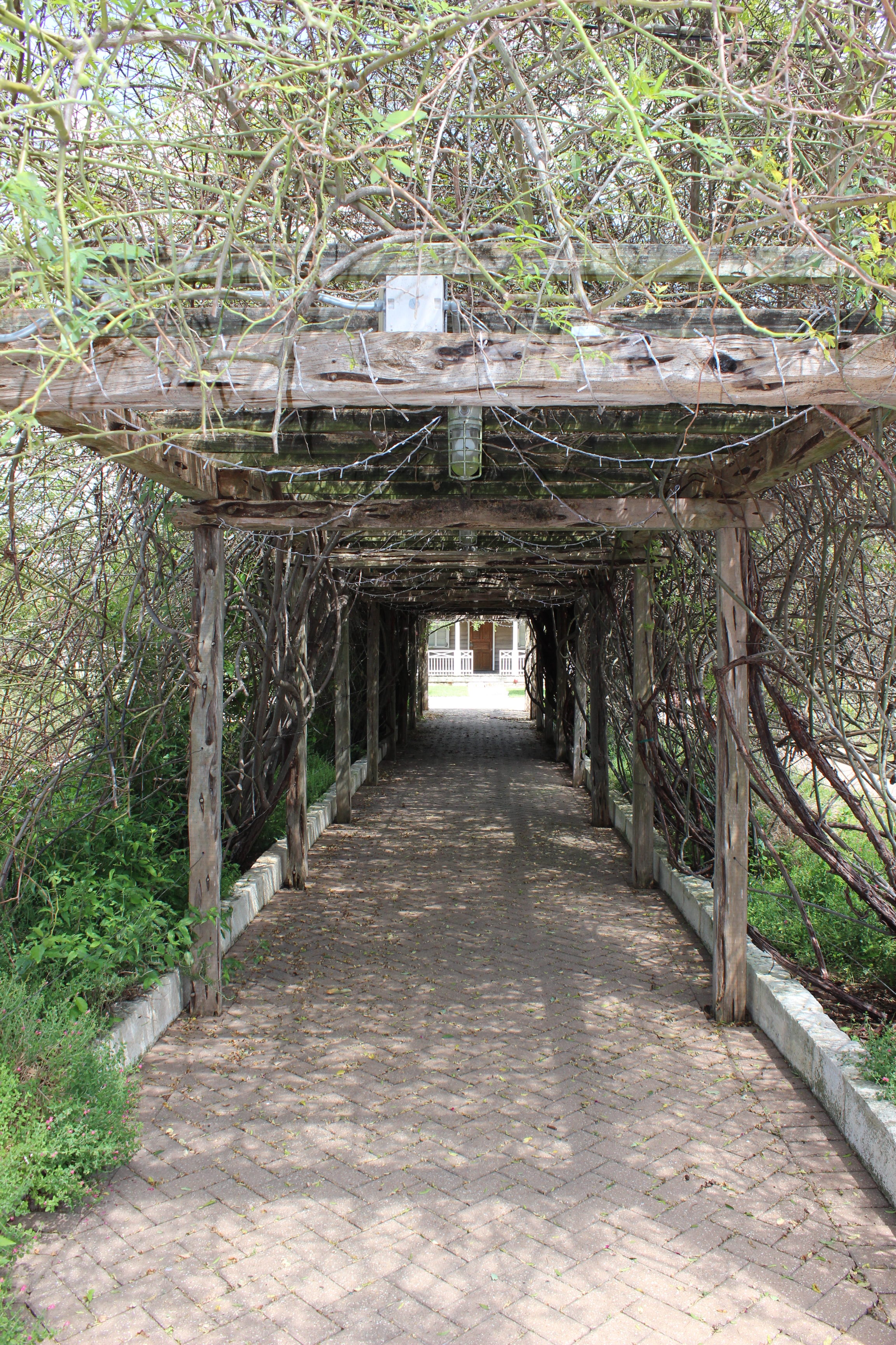 Conservation Plaza covered path