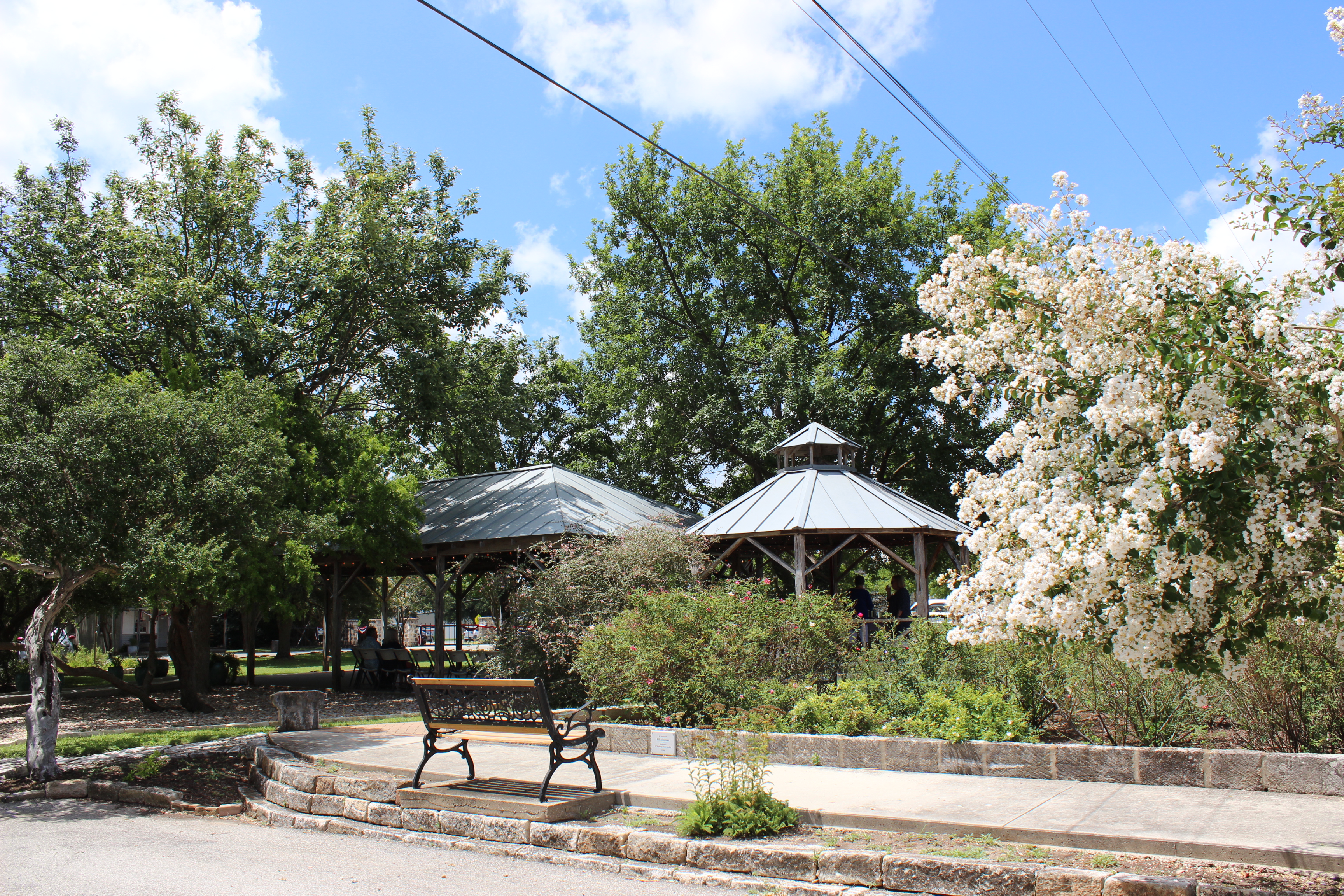 Conservation Plaza bench