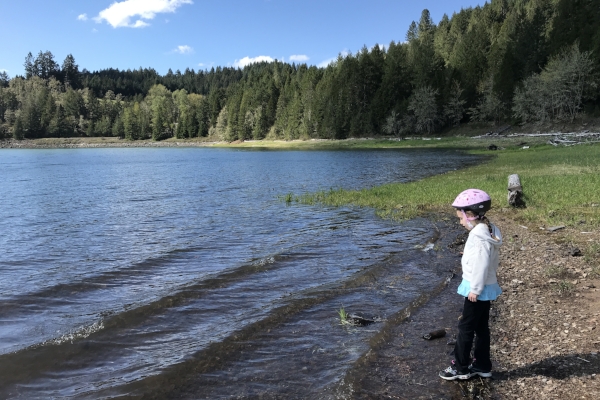 Dorena Reservoir Shoreline by Taj Morgan