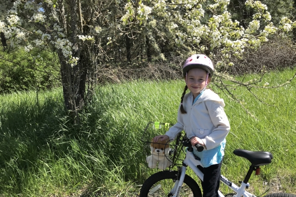 Spring blossoms along the Row River Trail by Taj Morgan