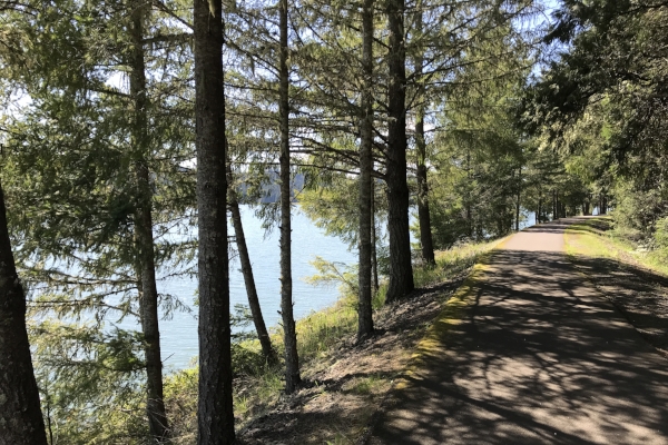 Shady Row River Trail by Taj Morgan